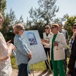 Голосование за объекты благоустройства продолжается до 12 июня