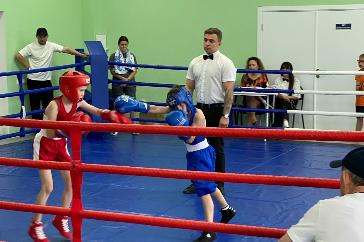 В ФОКе Верхнесадового прошел турнир по боксу памяти Героя СВО Игоря Русанова