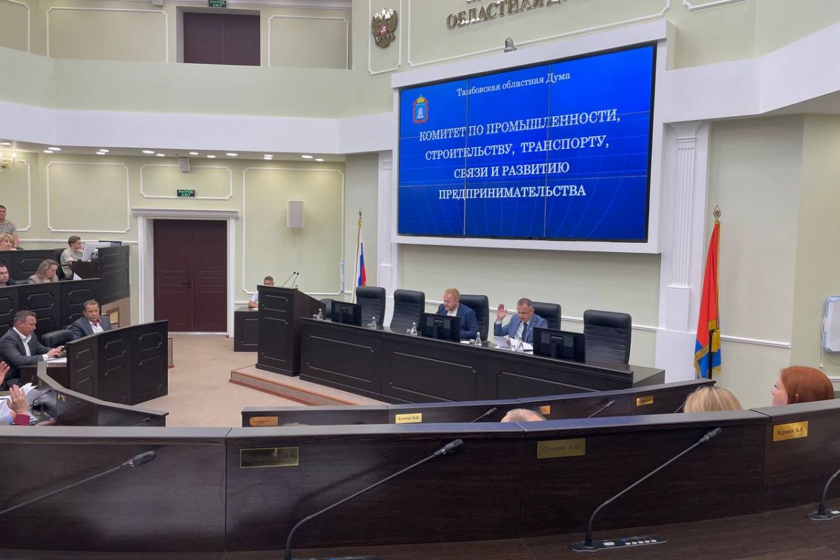 Депутаты облдумы потребовали от компании-концессионера ускорить ремонт коллектора на Набережной