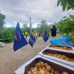 В Аше прошёл День соседей