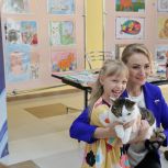 В Саранске прошла торжественная церемония награждения победителей конкурса творческих работ «Моя кошка»