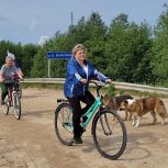 Плесецкие партийцы организовали велопробег