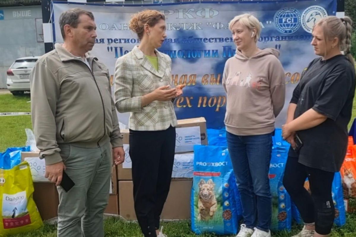 Смоленские единороссы передали в Курск партию груза для оставшихся без владельцев собак и кошек