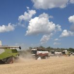 Жителей Волгоградской области приглашают принять участие во Всероссийском конкурс видеороликов и фотографий «Российское село»