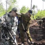 Волонтёры «Единой России» в Иркутской области помогают создавать минерализованные полосы для защиты лесов от пожаров