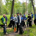 Единороссы приняли участие в экологической акции