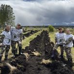 Жители края высадили более 35 тысяч деревьев в память о погибших в Великой Отечественной войне