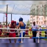 В День России в Вольском районе прошел праздник бокса