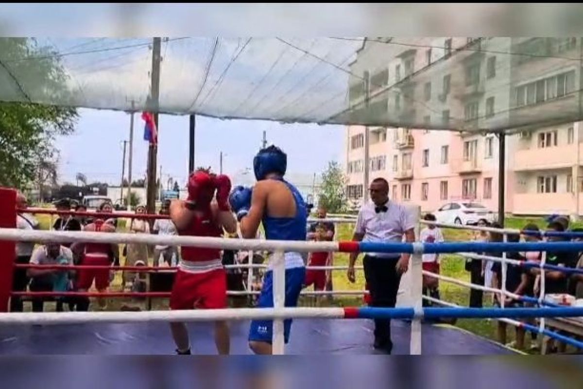 В День России в Вольском районе прошел праздник бокса
