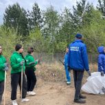 Партийцы и волонтеры очистили Сухотино от мусора