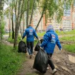 В Домодедове активисты «Единой России» привели в порядок территорию лесного массива