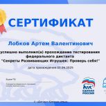 В рамках партийного проекта «Крепкая семья» подготовлен тест «Секреты Развивающих Игрушек: Проверь себя!»