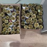 Жители Аркадакского района отправили партию блиндажных свечей на СВО