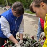 В посёлке Мурмаши Мурманской области «Единая Россия» организовала акцию по озеленению территорий