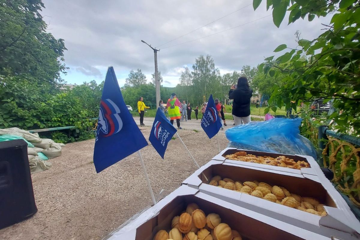 В Аше прошёл День соседей