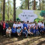 «Единая Россия» провела акцию «Чистый лес» в Серпухове