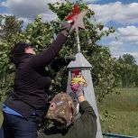 В Троицком районном округе партийцы привели в порядок памятник лётчику-испытателю