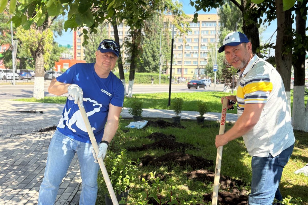 Депутаты «Единой России» высадили гортензии на набережной в Пензе