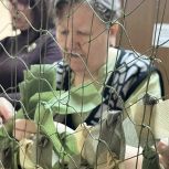 «Единая Россия» продолжает помогать бойцам спецоперации