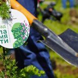 В Магадане единороссы приняли участие в патриотической акции «Сад памяти»