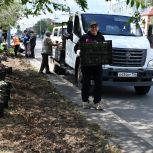 Депутаты городского Совета вместе с оренбуржцами продолжают преображать улицы Оренбурга