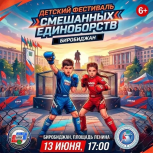 В Биробиджане впервые пройдет молодежный фестиваль единоборств в рамках «Вечернего Биробиджана»