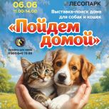 В Рязани при поддержке «Единой России» состоится очередная выставка-пристройство животных
