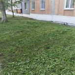 Партийцы «Единой России» принимают участие в акции «Малые добрые дела»