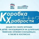 Якутское отделение партии в 14-й раз участвует во Всероссийской акции «Коробка храбрости»