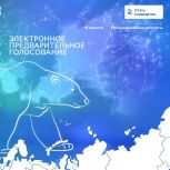 Более 200 тысяч жителей Саратовской области приняли участие в предварительном голосовании партии «Единая Россия»