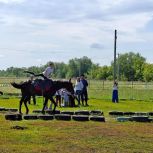 В Бузулуке прошло открытое первенство по джигитовке
