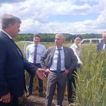 «Единая Россия» в регионе обсудила продовольственную безопасность в Воронежском аграрном научном центре им. В.В. Докучаева