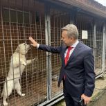 Анатолий Выборный: Профессионализм московских специалистов-кинологов МВД России – на службе Отечеству