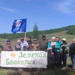 Активисты первичного отделения «Единой России» высадили сосны в Баймакском районе