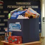 В Тамбове сторонники «Единой России» собрали более 300 игрушек и товаров для творчества в «Коробку храбрости»