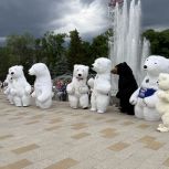 «Единая Россия» организовала патриотические, культурные и спортивные акции по всей стране в День России