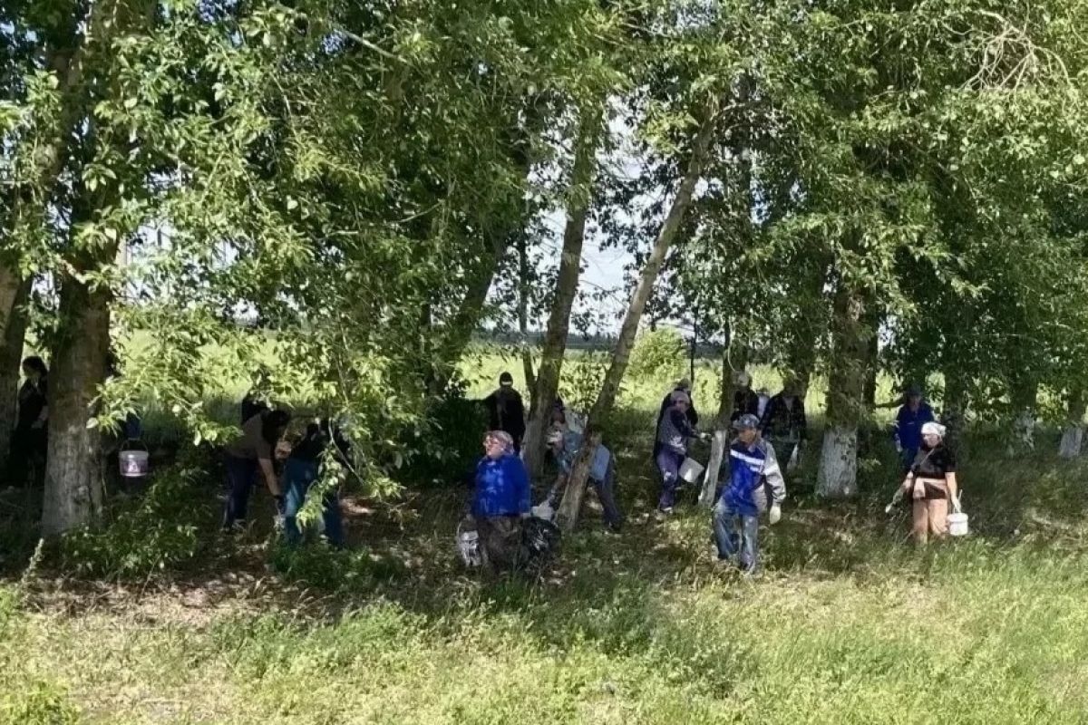 В Нижнекамске активисты первичных отделений провели уборку вдоль оживленной дороги