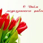 Первые лица области поздравили воронежских медиков с профессиональным праздником
