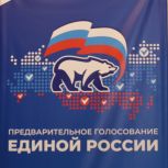 В муниципалитетах Рязанской области началось электронное предварительное голосование