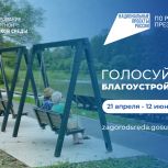 Менее двух недель осталось до завершения голосования за благоустройство-2027