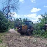 В Балашове после обращения жителей к Панкову началось благоустройство территории