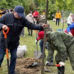 В Калужской области высадили Тимирязевские аллеи