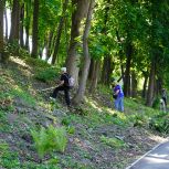 Забота о городе. Единороссы навели порядок на улицах Смоленска