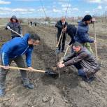 «Единой России» приняла участие в акции «Сад памяти»