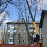 В общественной приемной «Единой России» оказали содействие в опиловке деревьев на двух воронежских улицах