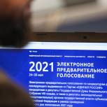 Ольга Амельченкова и Султан Хамзаев подали заявления на предварительное голосование «Единой России»
