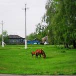 В Волгоградской области стартовал региональный этап фотоконкурса «Мое любимое село»