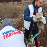 В Ленинском районе проводят экоакцию по уборке мусора