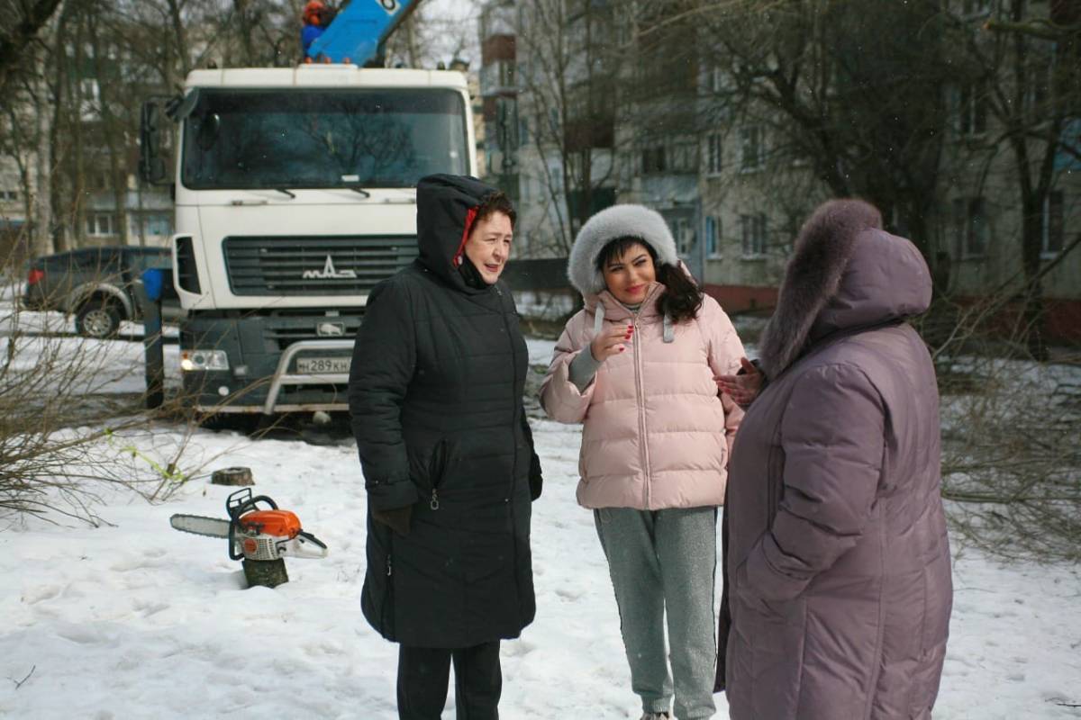 В Сеймском округе спилены аварийные деревья