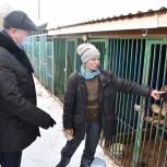 «Единая Россия» против убийства бездомных животных